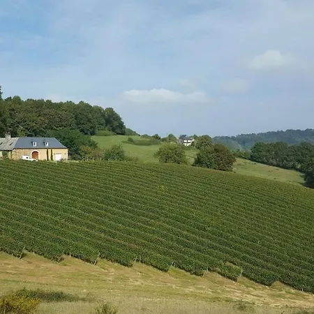 Castagnet 펜션 Lucq-de-Béarn