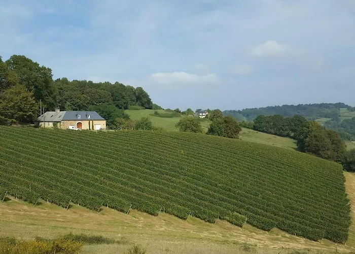 Castagnet Hébergement de vacances Lucq-de-Béarn
