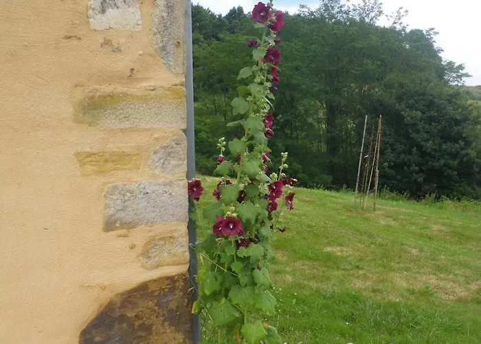 Castagnet Hébergement de vacances Lucq-de-Béarn